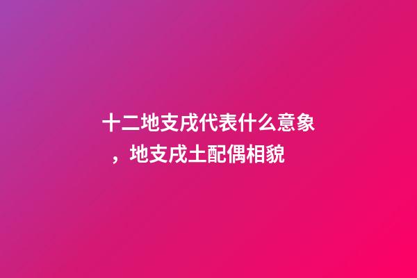 十二地支戌代表什么意象，地支戌土配偶相貌